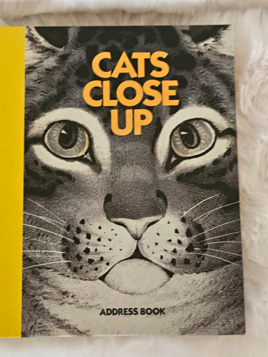 Cats close adressbuch - close,